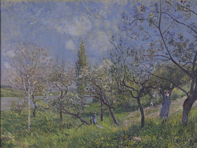 Alfred Sisley, Un verger au printemps, 1881, Olieverf op doek, 72 × 54 cm Collectie Museum Boijmans Van Beuningen, Rotterdam. Verworven met de verzameling van D.G. van Beuningen 